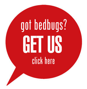 got bedbugs?